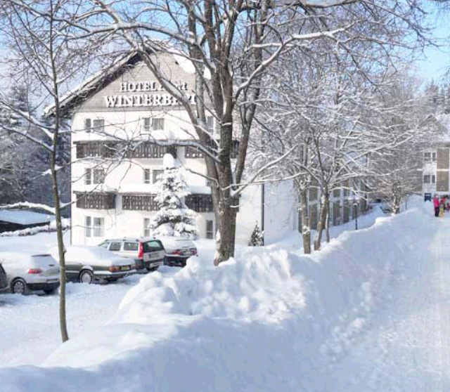 Hotel Winterberg Resort
